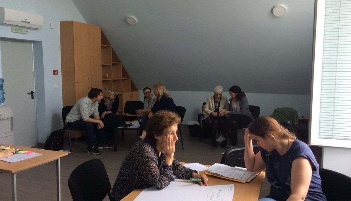 IMG_3556 HESED hosted the second yMIND partners` meeting