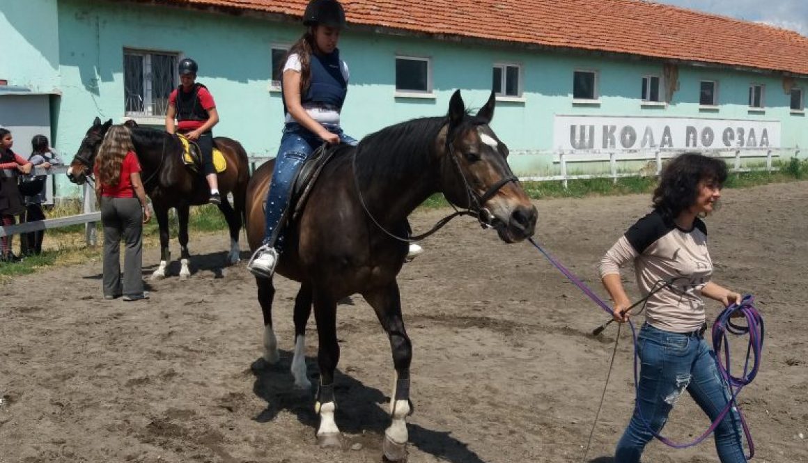 More practical skills with horses