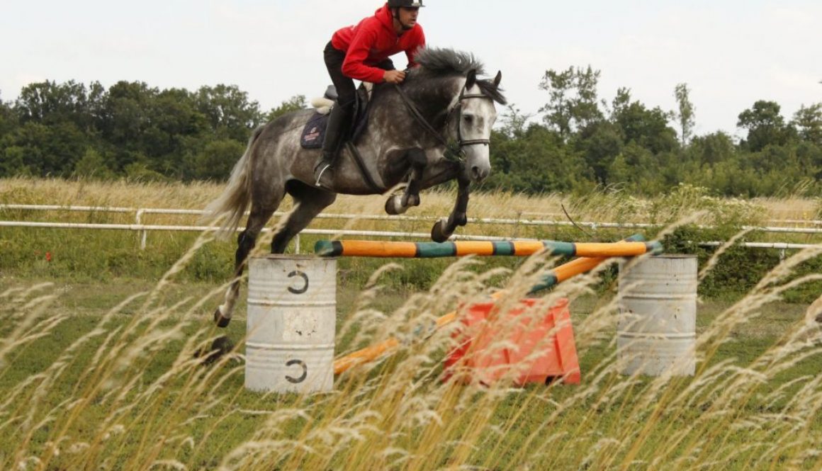 An exciting final equestrian event