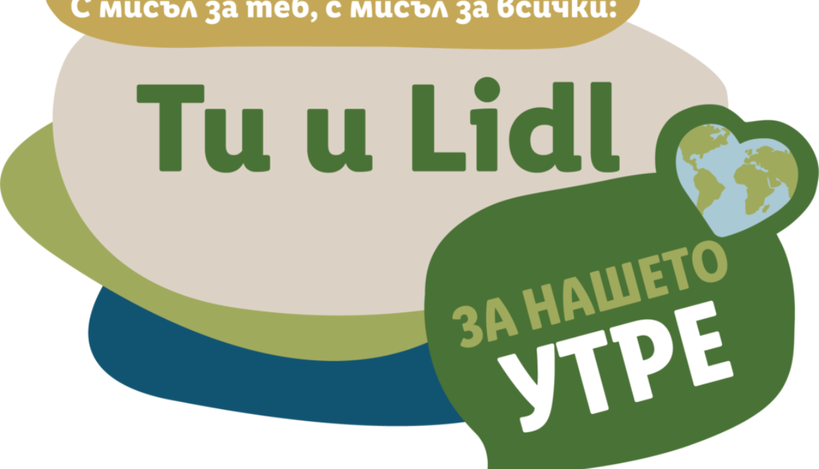 Проект Little Lidl land